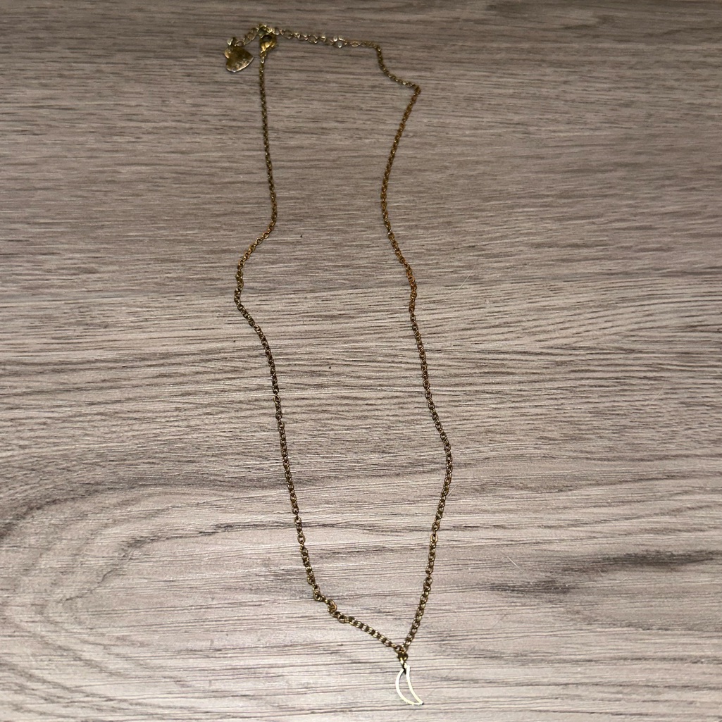 Brandy Melville Gold Moon Necklace 12$